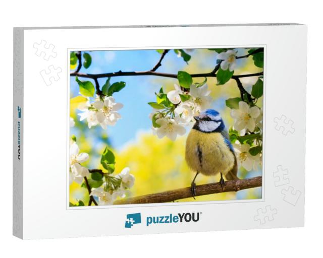 Spring Natural Background with Little Cute Bird Tit Sitti... Jigsaw Puzzle