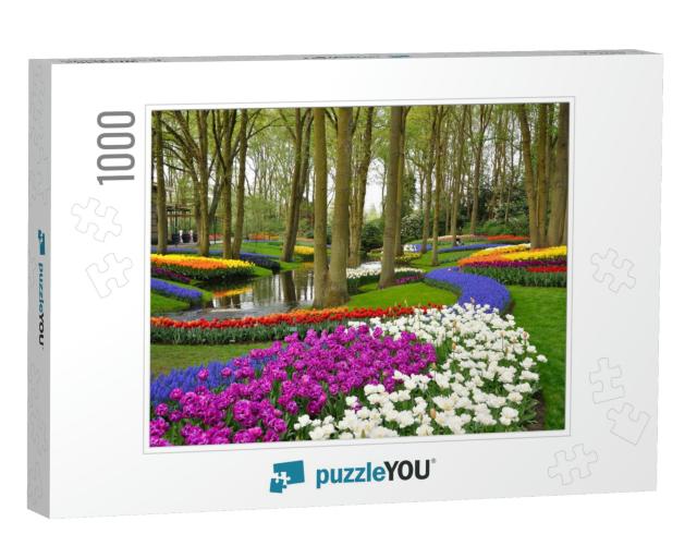 Colorful Blooming Tulips in Keukenhof Park in Holland... Jigsaw Puzzle with 1000 pieces