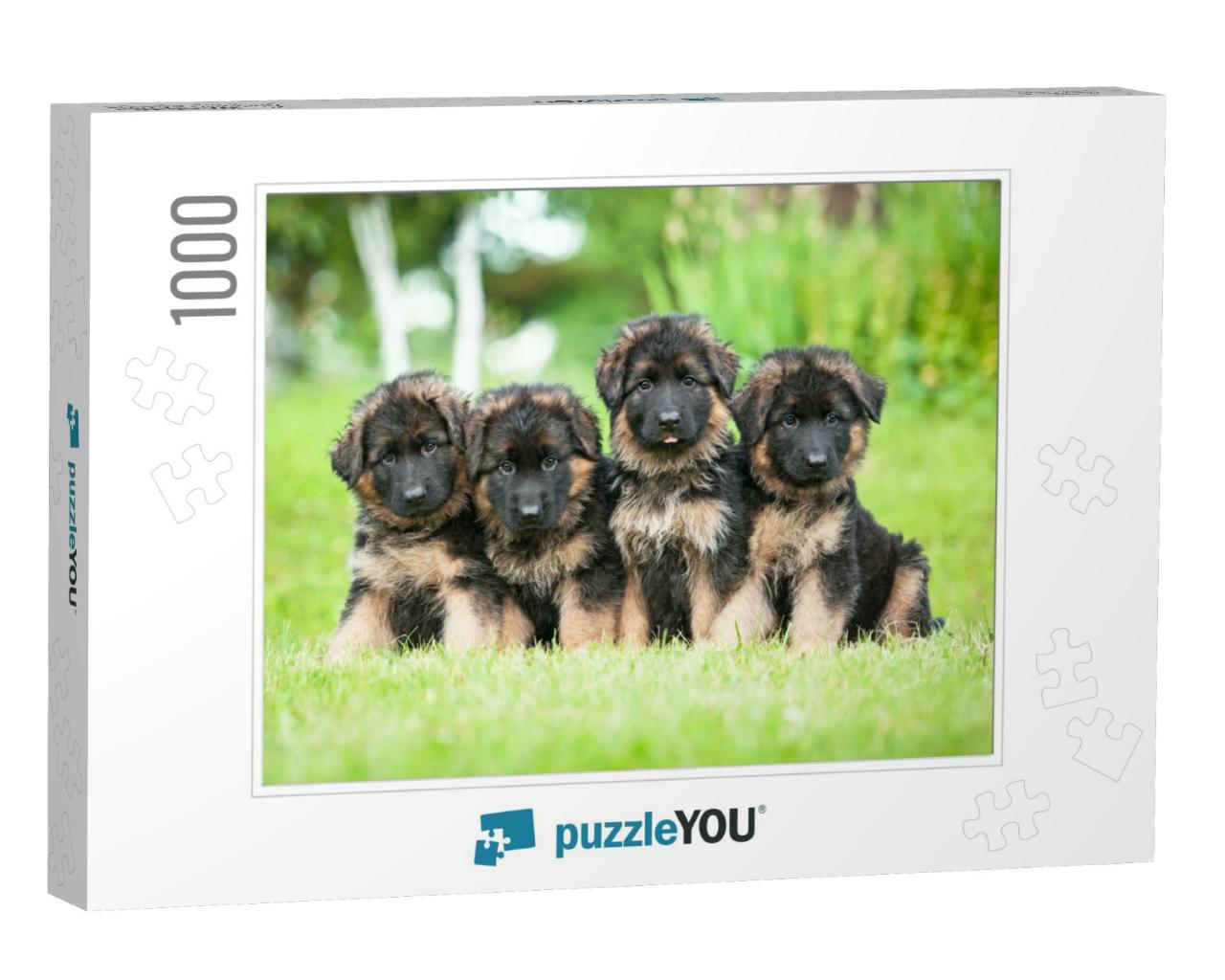 Group of Four Little German Shepherd Puppies... Jigsaw Puzzle with 1000 pieces