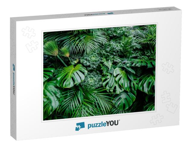 Tropical Green Leaves Background, Fern, Palm & Monstera D... Jigsaw Puzzle