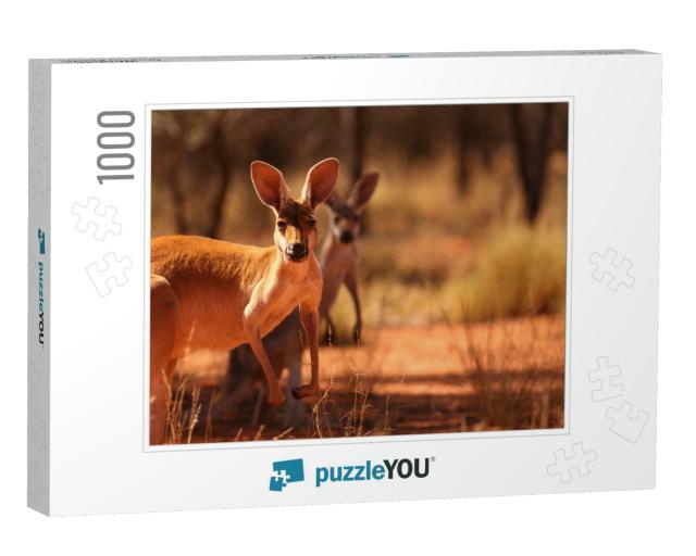 A Female Red Kangaroo with Her Joey on the Red Sand of Ou... Jigsaw Puzzle with 1000 pieces