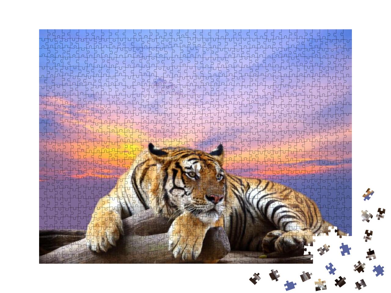 Tiger Looking Something on the Rock with Beautiful Sky At... Jigsaw Puzzle with 1000 pieces