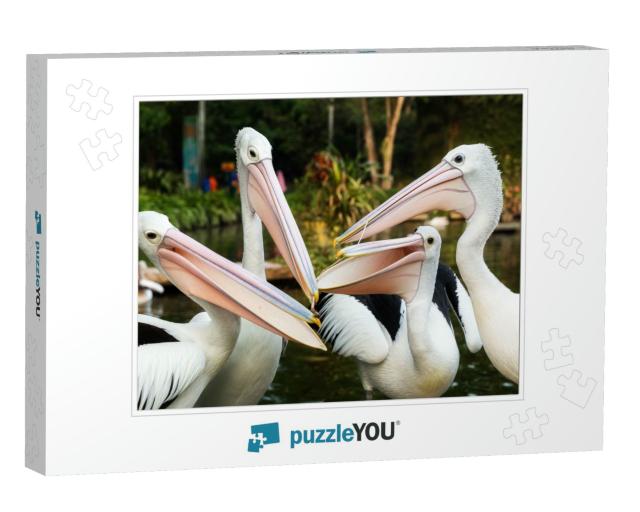The Great White Pelican Pelecanus Onocrotalus Aka the Eas... Jigsaw Puzzle