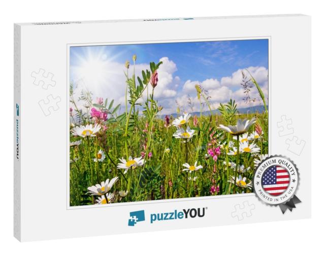 Beautiful Flower Meadow in Summer with Bright Daisies Und... Jigsaw Puzzle
