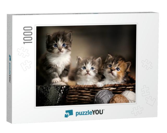 Three Kittens in a Basket Closeup... Jigsaw Puzzle with 1000 pieces