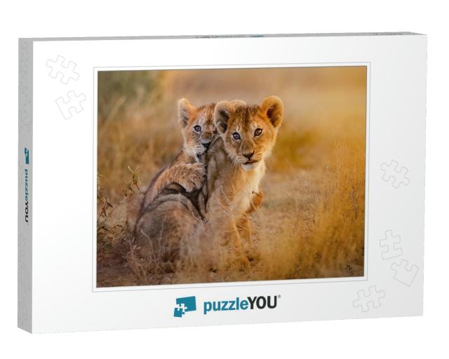 Lion Cubs Playing... Jigsaw Puzzle