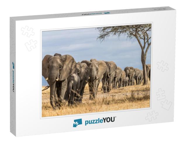 Herd of Elephants in Africa Walking Through the Grass in... Jigsaw Puzzle