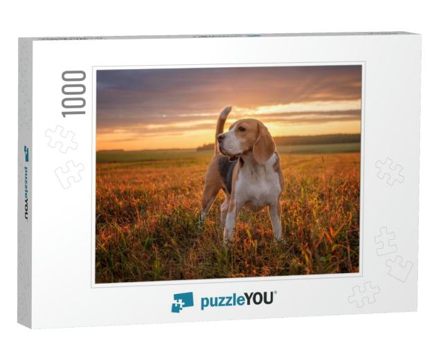 Portrait of a Beagle Dog on the Background of a Beautiful... Jigsaw Puzzle with 1000 pieces