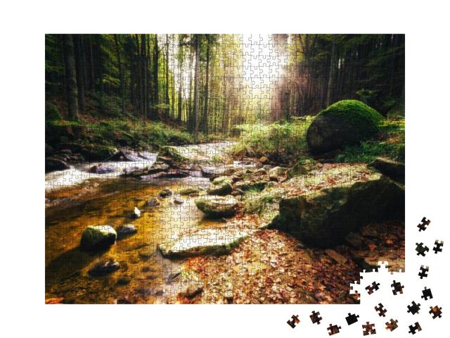 Sunny Day At Creek in Ilsetal Harz, Forest Autumn... Jigsaw Puzzle with 1000 pieces