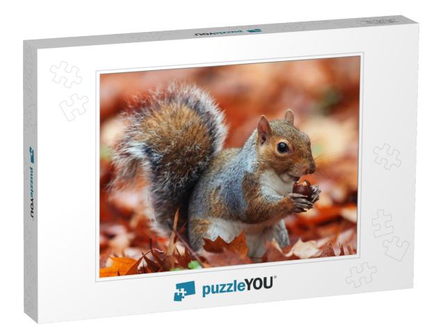 Squirrel, Autumn, Acorn & Dry Leaves... Jigsaw Puzzle