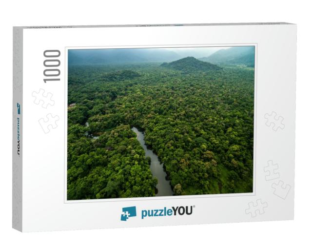 Aerial View of River in Rainforest, Latin America... Jigsaw Puzzle with 1000 pieces