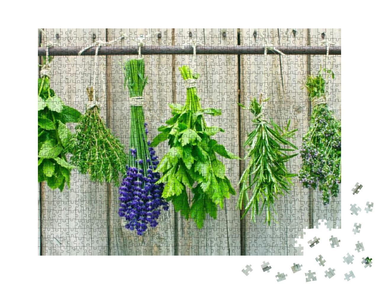 Various Fresh Herbs Hanging in Bundle on a Rod to Dry... Jigsaw Puzzle with 1000 pieces