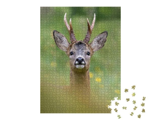 Impressive Portrait of a Wild Roe Deer with Big Antlers T... Jigsaw Puzzle with 1000 pieces
