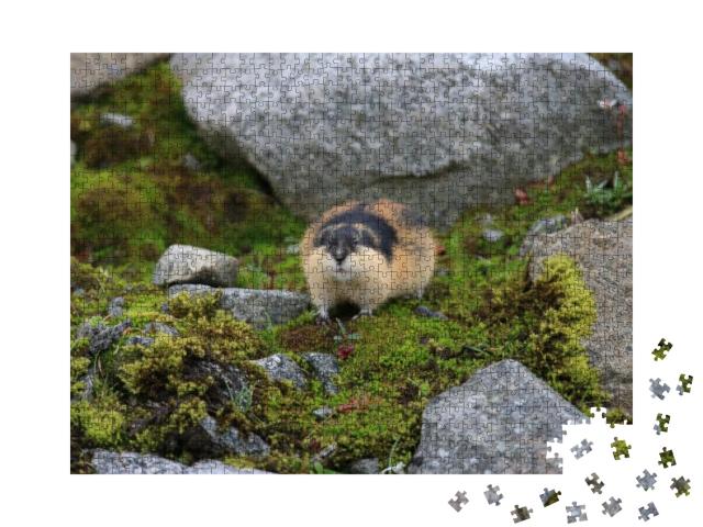 Norwegian Lemming Jotunheimen Norway... Jigsaw Puzzle with 1000 pieces