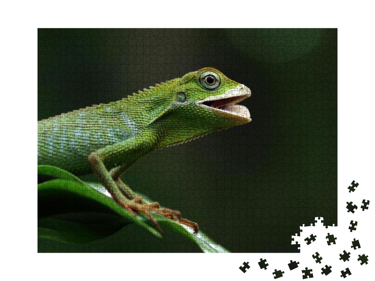 Green Lizard on Branch, Green Lizard Sunbathing on Branch... Jigsaw Puzzle with 1000 pieces