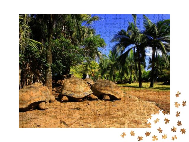 Three Giant Turtles Dipsochelys Gigantea Sleeping Under t... Jigsaw Puzzle with 1000 pieces