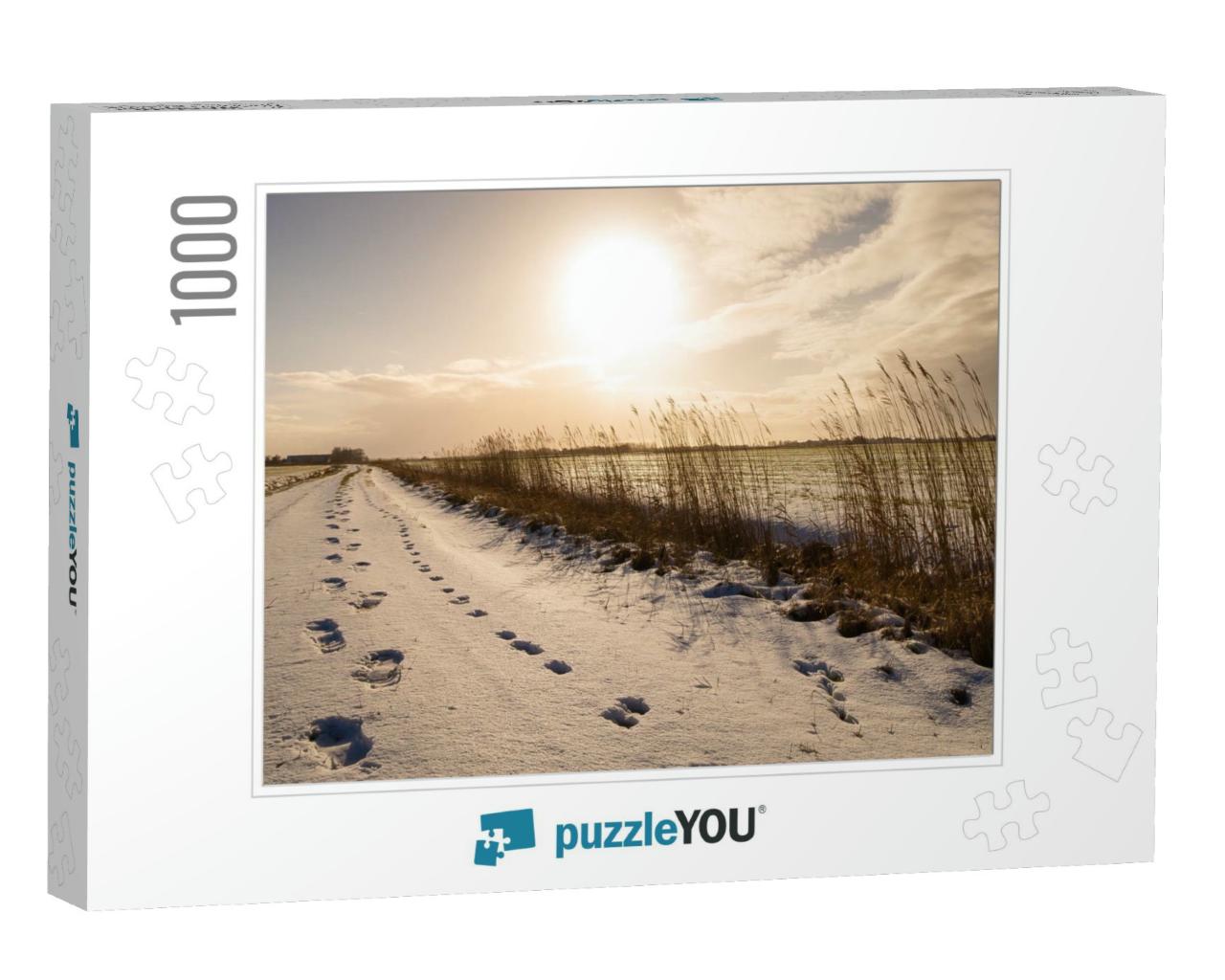 Footsteps in Snow in East Frisia Ostfriesland... Jigsaw Puzzle with 1000 pieces