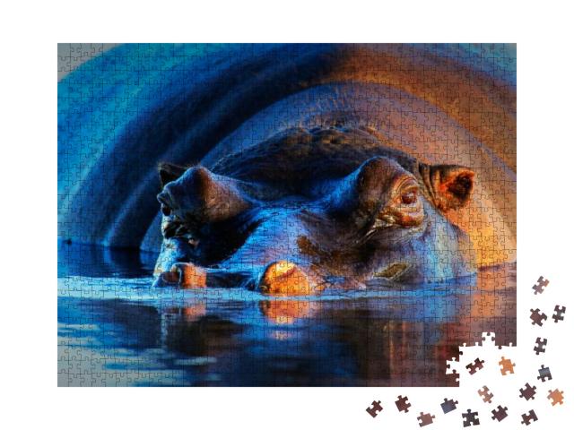 Hippopotamus Hippopotamus Amphibius At Sunset & Low Angle... Jigsaw Puzzle with 1000 pieces