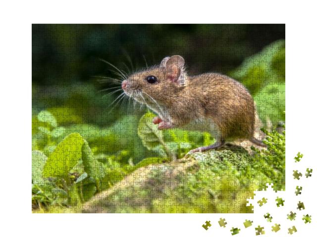 Wild Wood Mouse Resting on the Root of a Tree on the Fore... Jigsaw Puzzle with 1000 pieces