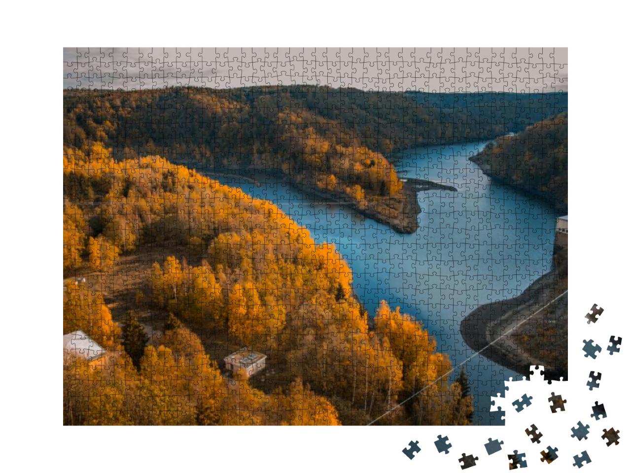 Rappbodetalsperre & Rappbode River in Harz Mountains Nati... Jigsaw Puzzle with 1000 pieces