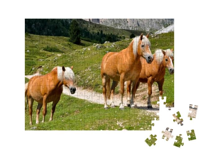 Haflinger Horses in a Group of Three with White Manes on... Jigsaw Puzzle with 200 pieces