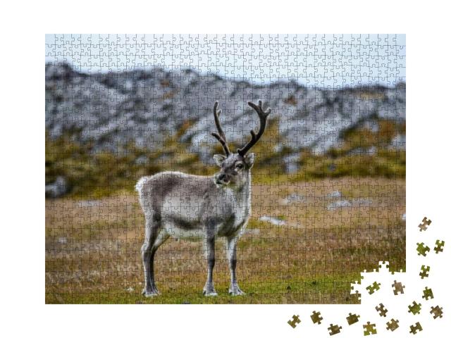 Reindeer... Jigsaw Puzzle with 1000 pieces