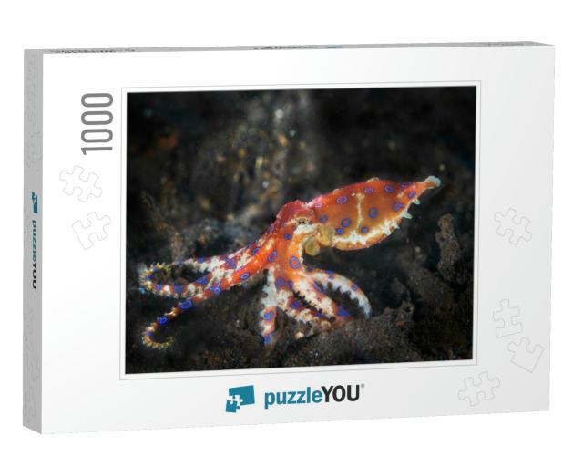 Blue Rings Octopus. the Most Dangerous Underwater Octopus... Jigsaw Puzzle with 1000 pieces