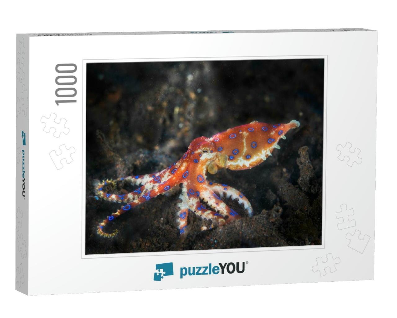 Blue Rings Octopus. the Most Dangerous Underwater Octopus... Jigsaw Puzzle with 1000 pieces