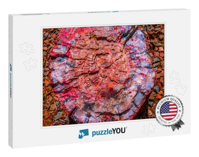 Red Blue Orange Petrified Wood Log Abstract Visitor Cente... Jigsaw Puzzle