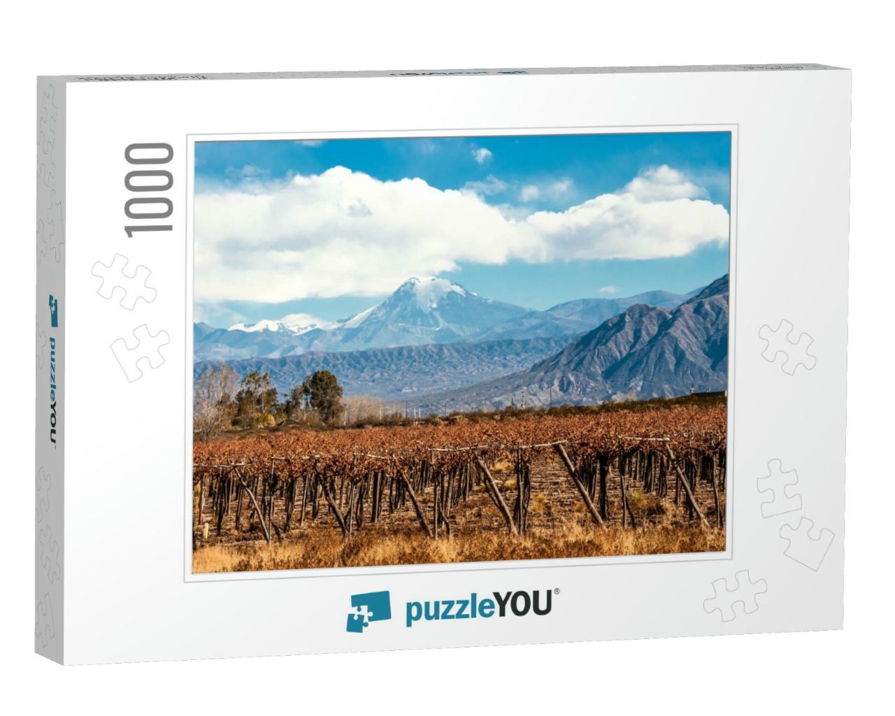 Volcano Aconcagua & Vineyard. Aconcagua is the Highest Mo... Jigsaw Puzzle with 1000 pieces
