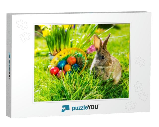 Living Easter Bunny with Eggs in a Basket on a Meadow in... Jigsaw Puzzle