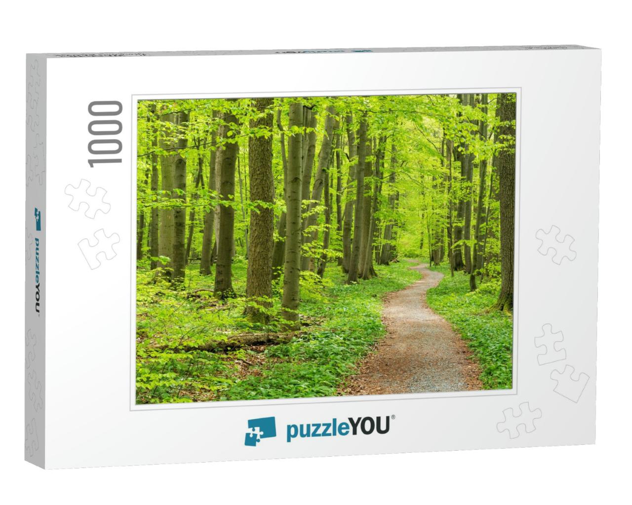 Winding Footpath Through Beech Forest in Spring, Lush Gre... Jigsaw Puzzle with 1000 pieces