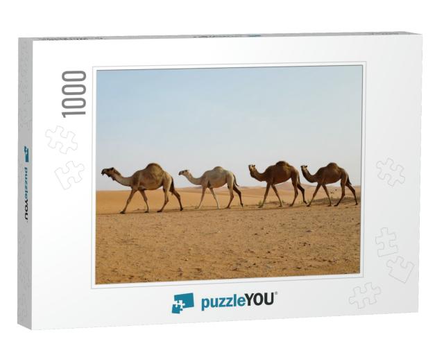 Line of Dromedary Camels Crossing the Arabian Desert in R... Jigsaw Puzzle with 1000 pieces