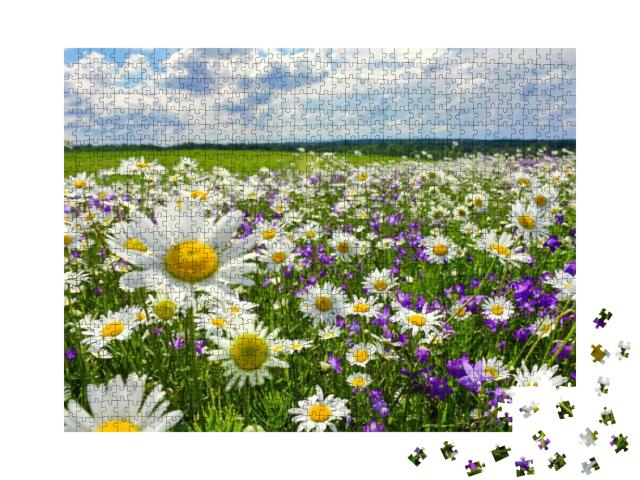Beautiful Summer Landscape with Blossoming Meadow & Flowe... Jigsaw Puzzle with 1000 pieces