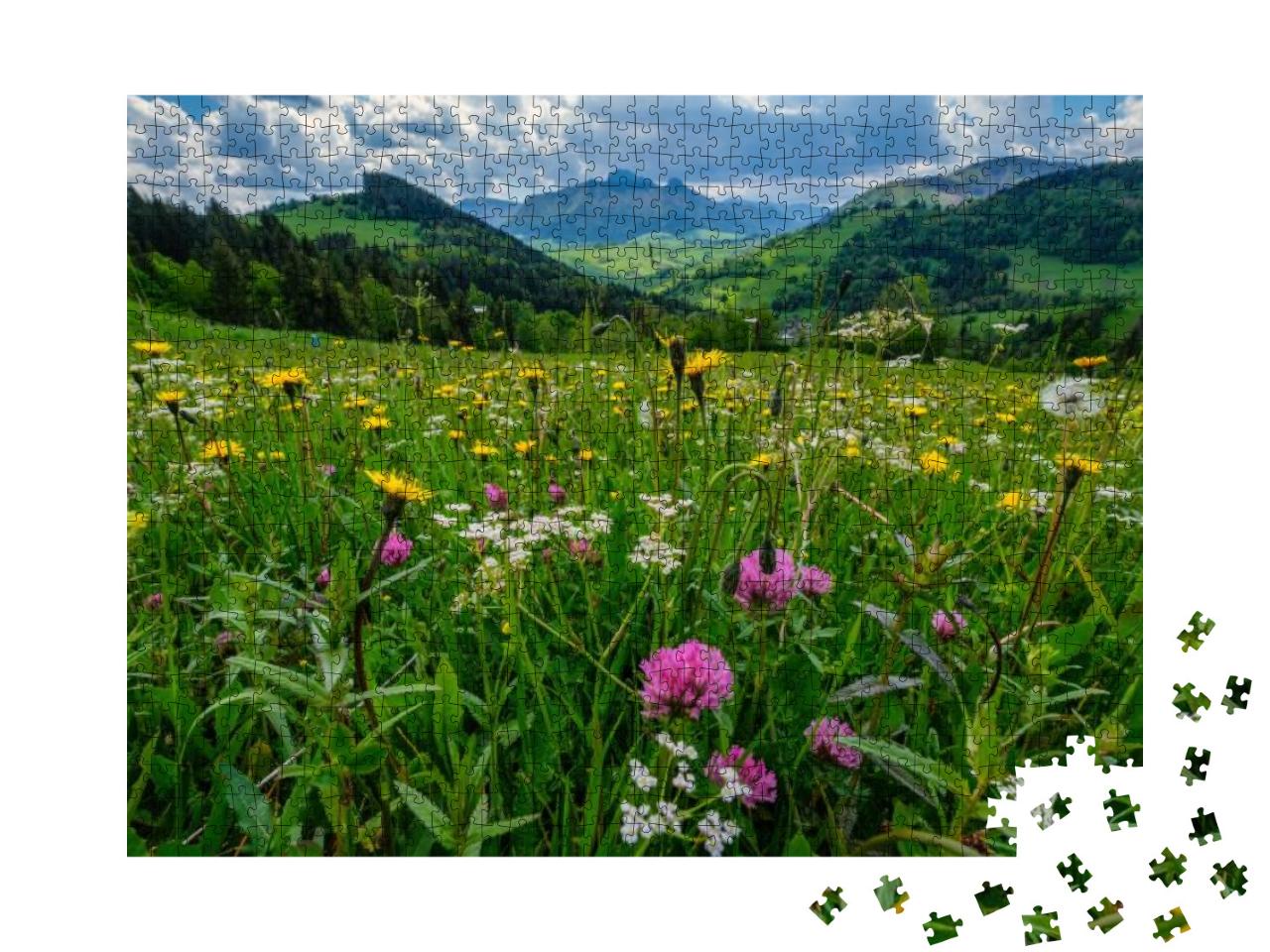 A Meadow Full of Beautiful Mountain Flowers in the Backgr... Jigsaw Puzzle with 1000 pieces