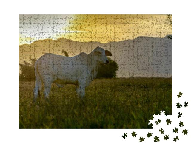 Silhouette of Nellore Cattle At Sunset At the End of the... Jigsaw Puzzle with 1000 pieces