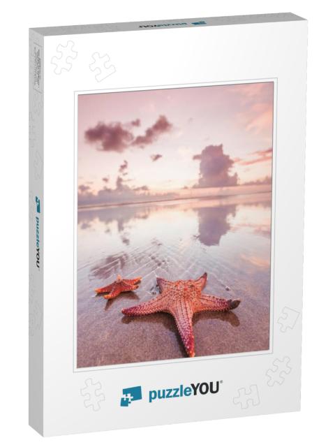 Two Starfish on Sea Beach At Sunset, Bali, Seminyak, Doub... Jigsaw Puzzle