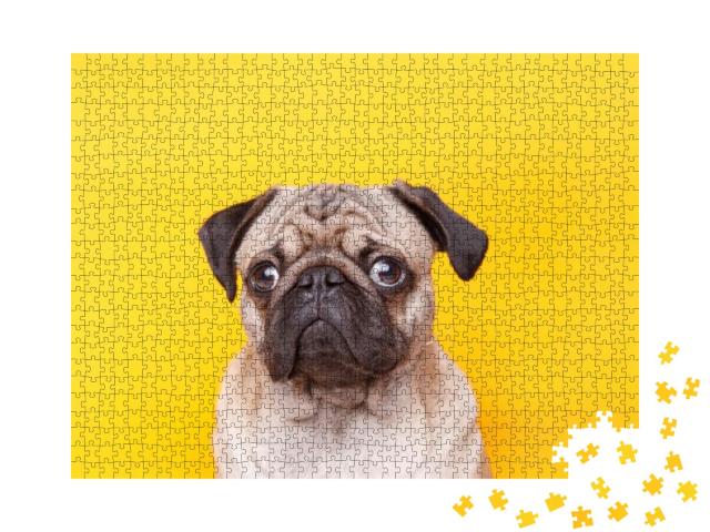 Portrait of Adorable, Happy Dog of the Pug Breed. Cute Sm... Jigsaw Puzzle with 1000 pieces