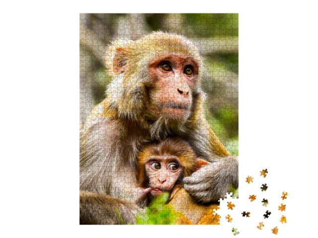 Monkey Mother with Baby Portrait... Jigsaw Puzzle with 1000 pieces