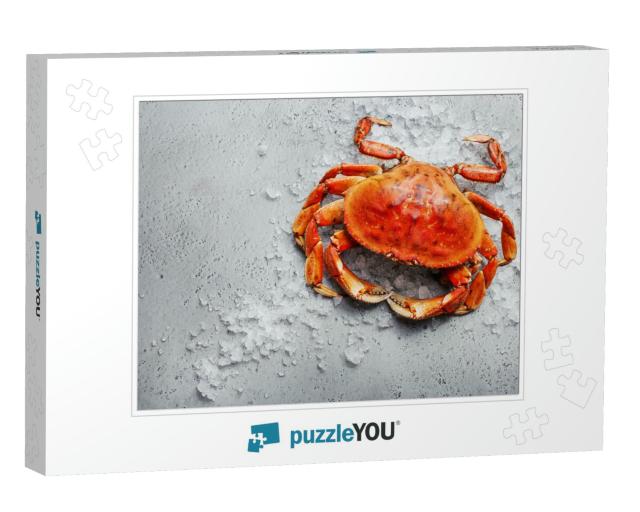 Boiled Dungeness Crab on Ice Over Gray Concrete Backgroun... Jigsaw Puzzle