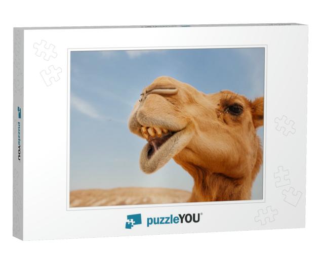 Camel in Israel Desert, Funny Close Up... Jigsaw Puzzle