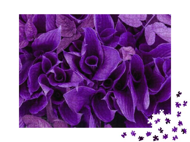 Trendy Color Concept Set with Ultra Violet Color Trend of... Jigsaw Puzzle with 1000 pieces