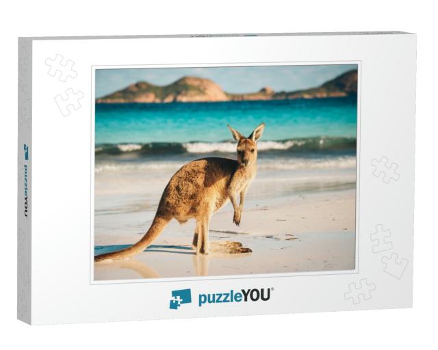 Kangaroo At Lucky Bay in the Cape Le Grand National Park... Jigsaw Puzzle