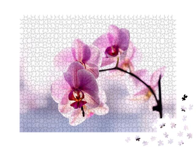 Purple Orchid on the Window... Jigsaw Puzzle with 1000 pieces