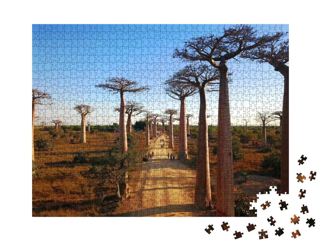 Madagascar's Baobabs, Aerial Views, Morondava Region, Bao... Jigsaw Puzzle with 1000 pieces