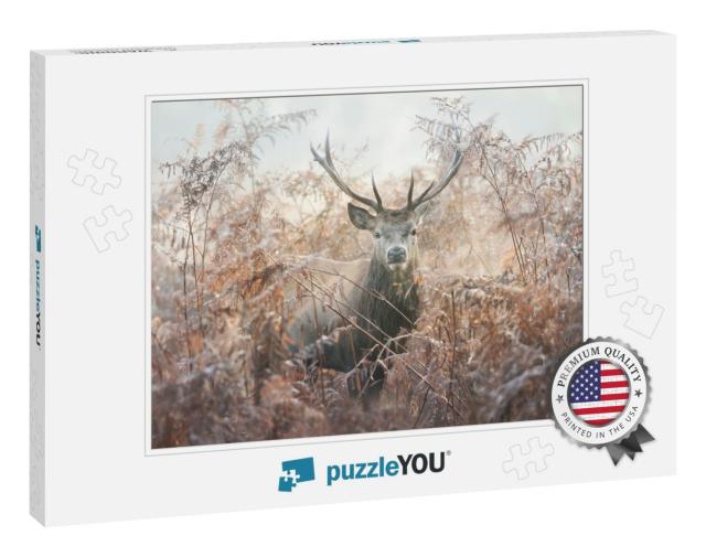 Portrait of a Red Deer Stag in Bracken on a Misty Autumn... Jigsaw Puzzle