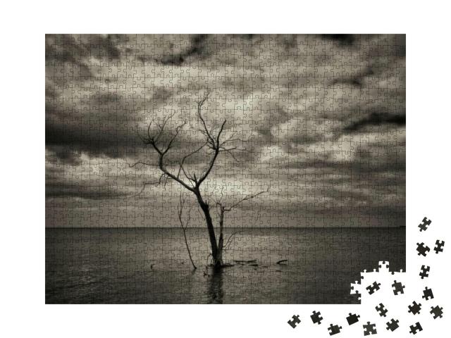 Lone Tree Off the Beach on Jewell Key in Everglades Natio... Jigsaw Puzzle with 1000 pieces
