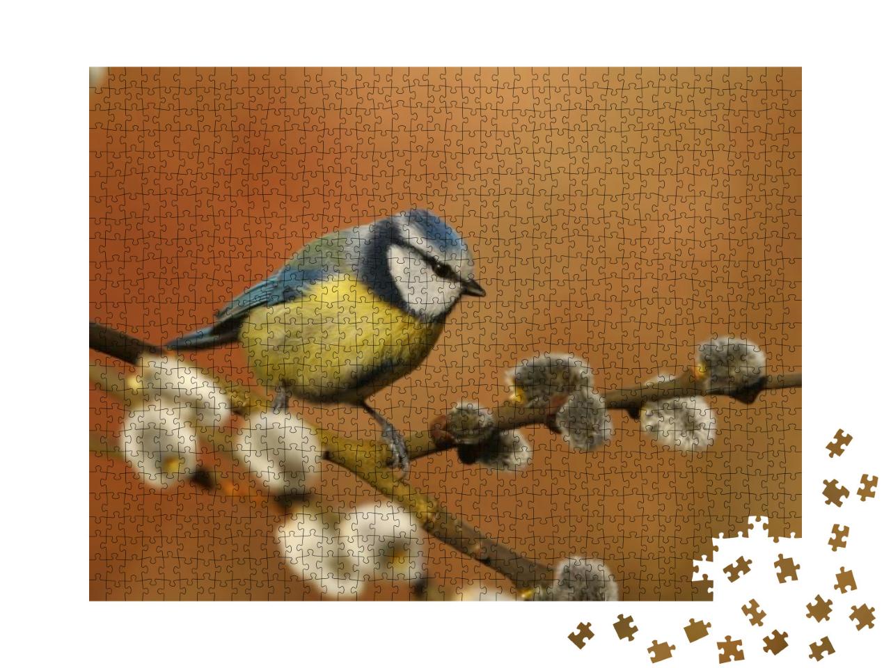 Cyanistes Caeruleus. Cute Blue Tit Sitting on the Twig. W... Jigsaw Puzzle with 1000 pieces
