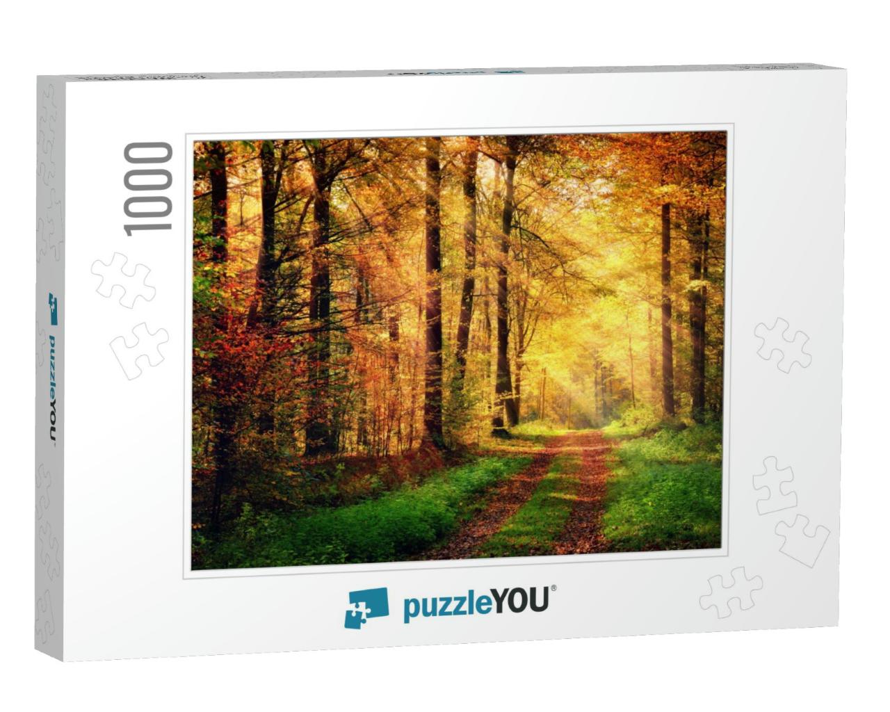 Autumn Forest Scenery with Rays of Warm Light Illumining... Jigsaw Puzzle with 1000 pieces