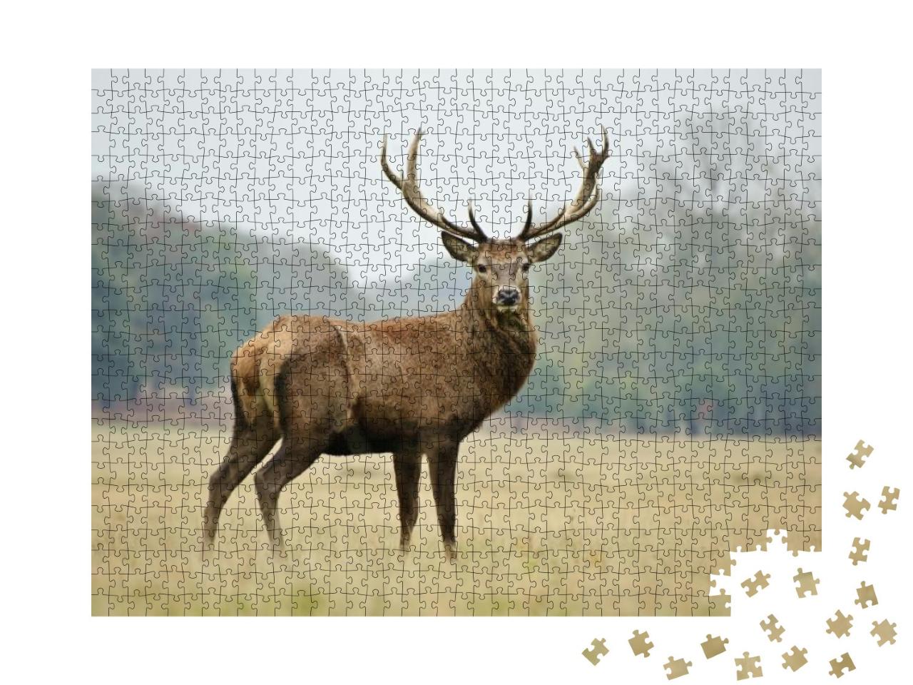 Portrait of Majestic Powerful Adult Red Deer Stag in Autu... Jigsaw Puzzle with 1000 pieces